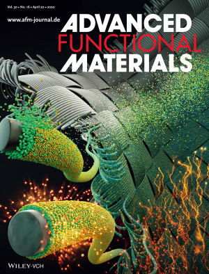 전자부품연구원의 신개념 전극 구조체 연구가 소개된 ‘Advanced Functional Materials’ 4월호 표지 /사진제공=KETI