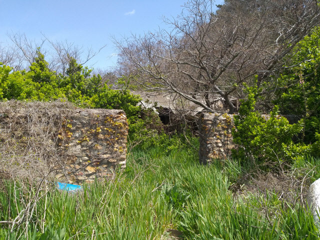 충남 태안군 신진도의 방치된 옛집의 다 떨어진 벽지 사이에서 19세기의 군적부가 발견됐다. /사진제공=국립해양문화재연구소