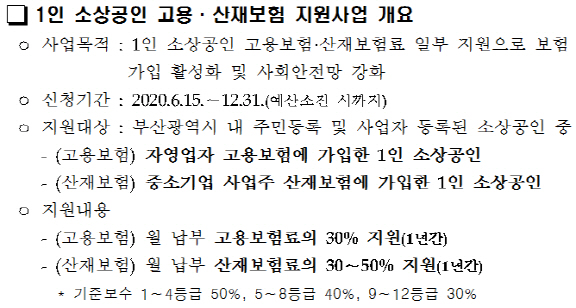 1인 소상공인 고용·산재보험 지원사업 개요./사진제공=부산시