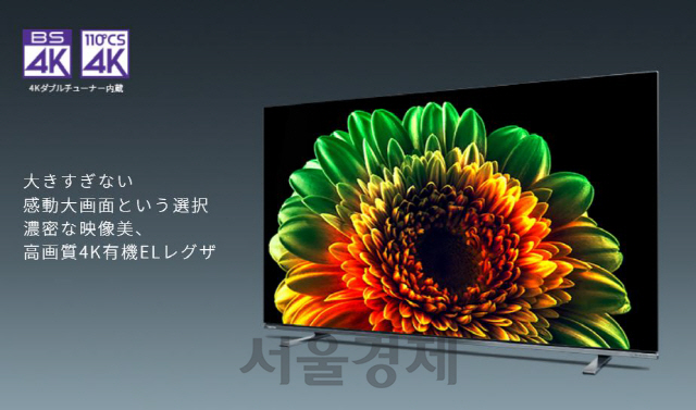 'OLED 미들급 왕좌라도…' 절대강자 LG에 선전포고 나선 日도시바·소니