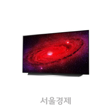 'OLED 미들급 왕좌라도…' 절대강자 LG에 선전포고 나선 日도시바·소니