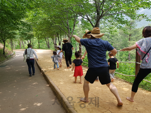 상주시 성주봉 한방산업단지에서 맨발체험교실