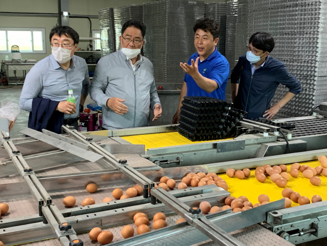 지준섭(왼쪽 두번째) 농협은행 부행장이 11일 경기도 안성시 ‘텃골농장’에서 개최한 ‘농업금융컨설팅 현장 간담회’에서 우주석(//세번째) 텃골농장 대표와 달걀 집하 현장을 참관하고 있다. /사진제공=농협은행