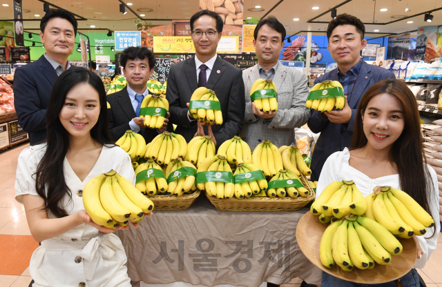 롯데마트, 베트남산 고산지 바나나 직수입 판매