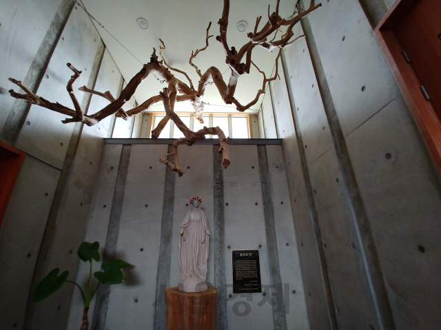 ‘홍로의 맥’이라는 작품으로 재탄생한 우리나라 최초의 온주밀감 나무.
