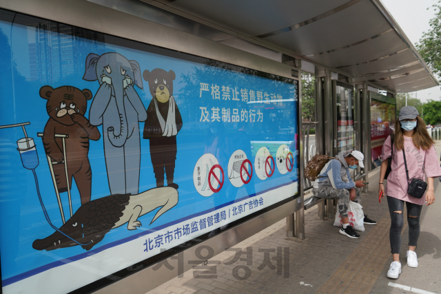 중국 베이징 시내의 한 버스정류장에 ‘야생동물 거래 및 제품 이용 금지’ 홍보판이 걸려있다. 이는 중국에서 코로나19가 한창 기승을 부릴 때인 올초 게시된 것이다. 이 홍보판은 현재는 없어지고 일반 상업광고판으로 대체됐다. /최수문기자