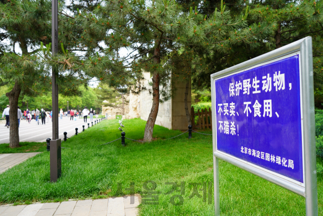 중국 베이징의 한 공원에 ‘야생동물의 거래와 식용, 수렵을 금지한다’는 안내판이 세워져 있다. /최수문기자