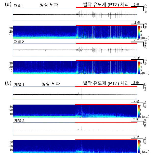 제브라피시 뇌파를 측정한 데이터.