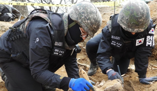 국방부 유해발굴감식단 장병들이 철원의 비무장지대 화살머리고지에서 6·25 전사자 유해발굴 작업을 하고 있다.   /사진제공=국방부