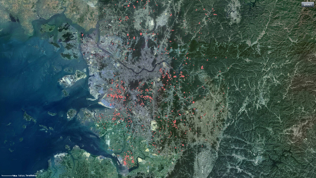 공유지분으로 쪼개팔린 경기도 임야를 빨간 구역으로 표시한 내역./부동산 실거래가 플랫폼 ‘밸류맵’