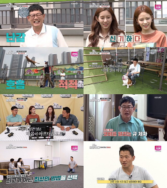 / 사진제공=KBS2 ‘개는 훌륭하다’ 영상 캡처