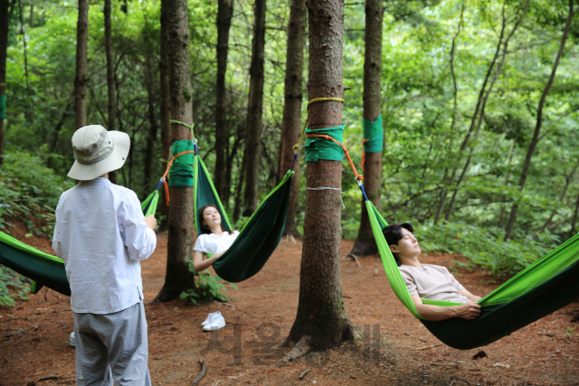 산림청이 숲속에서 산림치유프로그램은 운영하고 있다. 사진제공=산림청