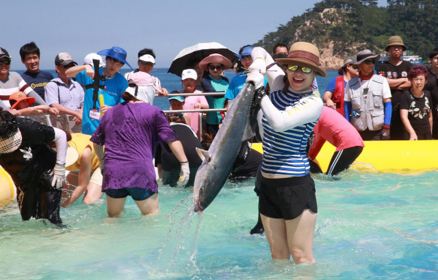 지난 2018년 울산 동구 일산해수욕장에서 열린 조선해양축제에 참가한 시민들이 방어를 잡으며 축제를 즐기고 있다. /사진제공=울산시