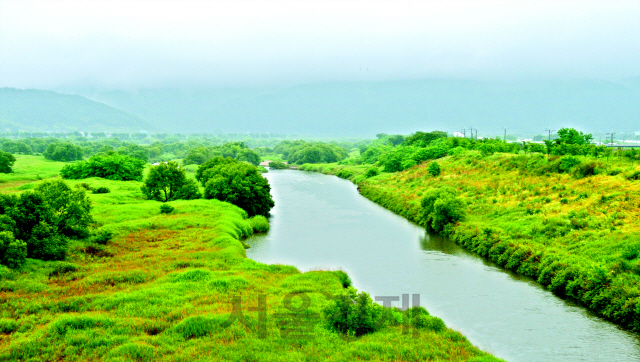 섬진강 침실습지는 우리나라에서 스물두번째로 지정된 국가보호습지로 강에서 피어오르는 물안개로 유명하다.