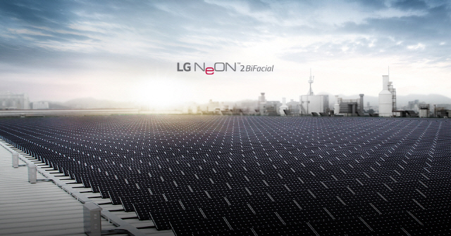 LG전자가 생산하는 N타입 셀로 만든 양면발전 태양광 모듈. /사진=LG전자
