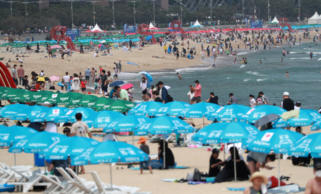지난 5일 오후 부산 해운대구 해운대해수욕장에서 피서객들이 물놀이를 즐기고 있다. /연합뉴스