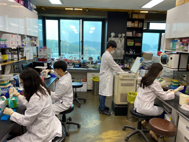 서울대 기술지주회사 자회사인 밥스누 연구원들이 코로나19 사태에도 연구개발(R&D)에 구슬땀을 흘리고 있다.