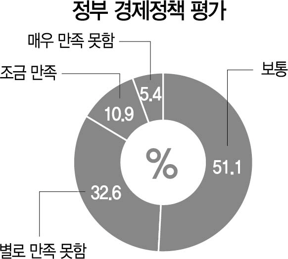 1315A06 정부 경제정책 평가