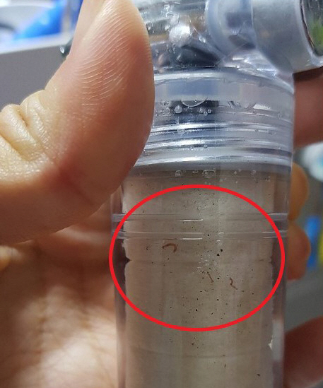 살아있는 유충이 왜 여기서…인천 '수돗물 유충' 발견에 '마시지 말라'