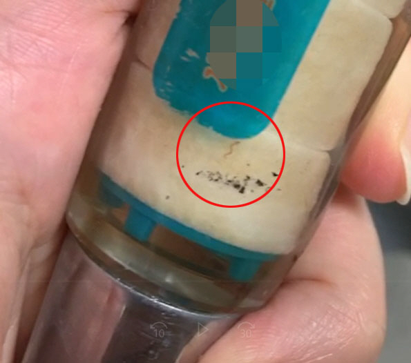 살아있는 유충이 왜 여기서…인천 '수돗물 유충' 발견에 '마시지 말라'