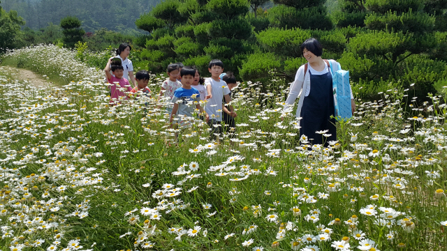 관광객들이 전북 정읍시 감곡면에 있는 솔다움자연농원에서 꽃밭을 거닐며 산책을 즐기고 있다./사진제공=농촌진흥청