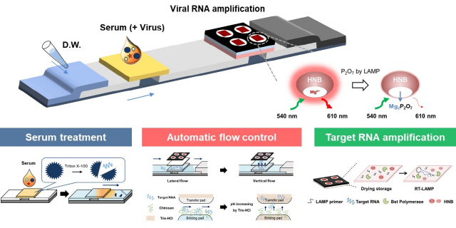 올인원 분자진단 모식도.