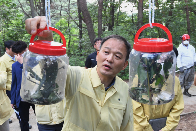 박종호 산림청장이 잡아놓은 꽃매미를 살펴보고 있다. 사진제공=산림청