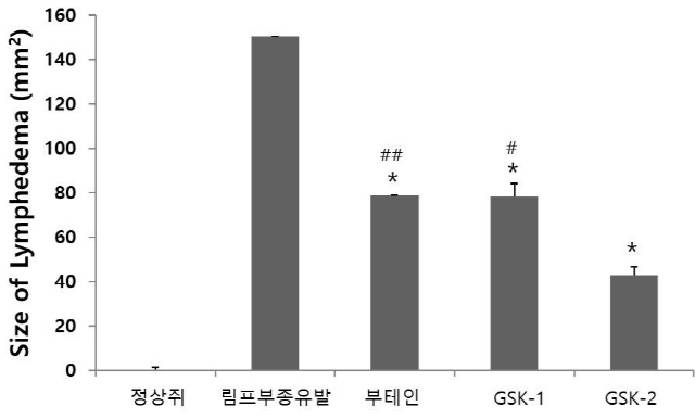 동물실험 림프부종 크기감소결과