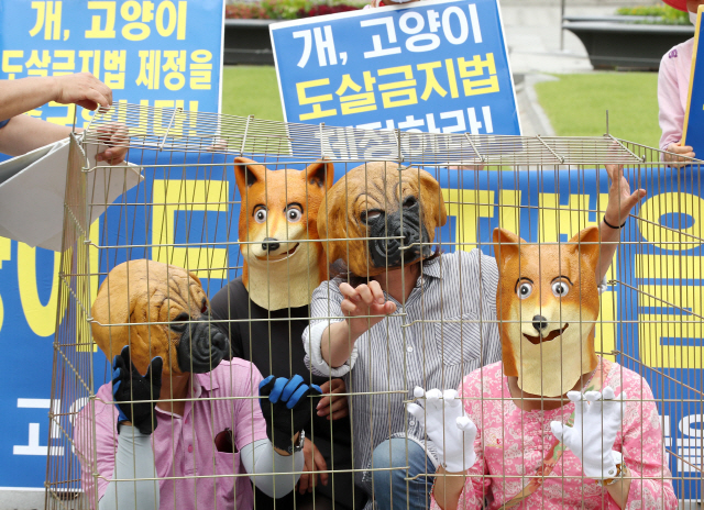 개 식용을 반대하는 동물단체인 비건세상을위한시민모임 회원들이 중복(中伏)인 26일 서울 종로구 광화문 광장에서 ‘개 도살 금지법’ 제정을 촉구하는 퍼포먼스를 하고 있다./연합뉴스