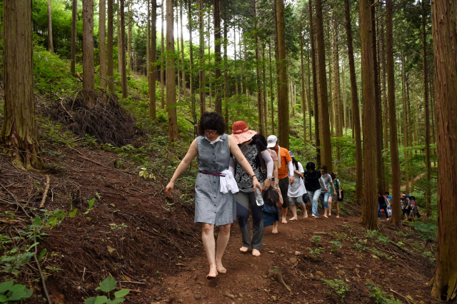 숲을 찾은 산림치유객들이 맨발로 숲길을 걷고 있다. 사진제공=산림청