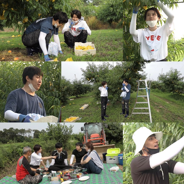 '나 혼자 산다' 기안84X장도연, 낯가림 절정 커플…스킨십으로 더 어색해져