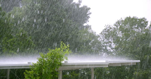 [오늘의 날씨]태풍 영향으로 전국에 많은 비…강풍도 주의해야