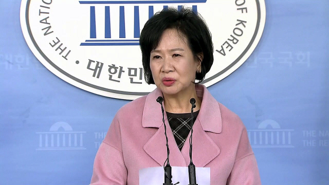 '부동산 투기 혐의' 손혜원 전 의원 1심서 징역 1년6개월