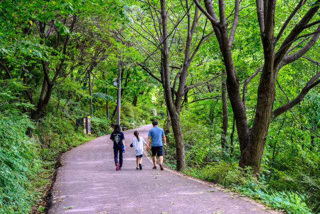 망우리공원 산책로는 주변에 우거진 숲길로 한여름에도 시원한 그늘을 만들어준다.