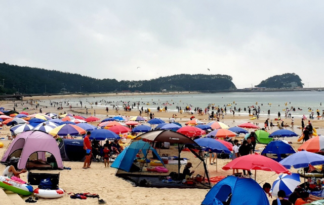 지난 16일 충남 태안군 만리포해수욕장을 찾은 피서객들이 더위를 식히고 있다. /연합뉴스