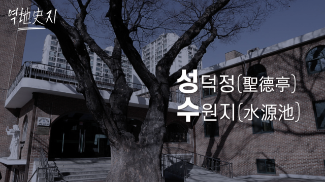 [역지사지] '한강변 놀이터' 성수동이 초고층 아파트 부촌으로 변한 이유 (영상)