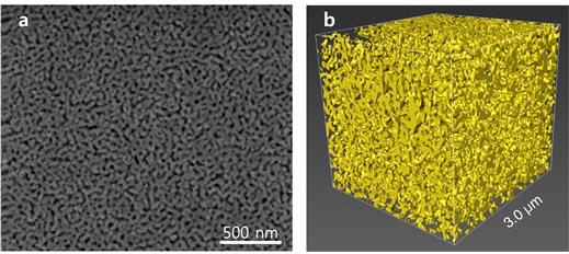 나노다공성 금의 표면 전자현미경 이미지(a)와 이를 3차원 재건(b)한 이미지. 매우 작은 기공이 형성된 것을 확인할 수 있다. /사진제공=UNIST