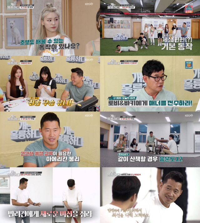 / 사진제공=KBS2 ‘개는 훌륭하다’ 영상 캡처