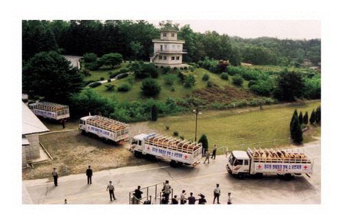 1998년 아산 정주영 회장의 통일소를 실은 트럭이 판문점을 통과하고 있다. /사진제공=현대자동차그룹