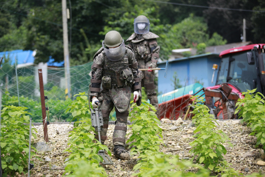 군, 접경지역서 집중호우로 유실된 지뢰 44발 발견·수거