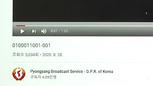 29일 북한의 대외용 라디오 매체인 평양방송의 유튜브 계정에 올라온 ‘0100011001-001’ 제목의 난수 방송 추정 동영상.       북한이 유튜브를 통해 남파공작원 지령용인 난수 방송을 송출한 것은 처음인 것으로 파악된다. /연합뉴스