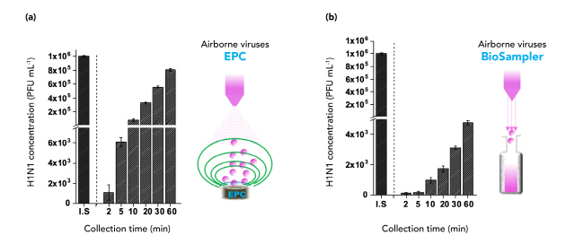 바이러스 채집 방법별 바이러스 농도 (a) 발생된 에어로졸을 전기장으로 채집한 경우 (b) 발생된 에어로졸을 기존에 많이 사용되는 채집 장치인 바이오샘플러(BioSampler)로 채집한 경우. 전기장을 이용해 채집할 경우 더 농도가 높다. 이는 바이로샘플러 보다 채집 성능이 더 좋음을 의미한다. /사진제공=UNIST