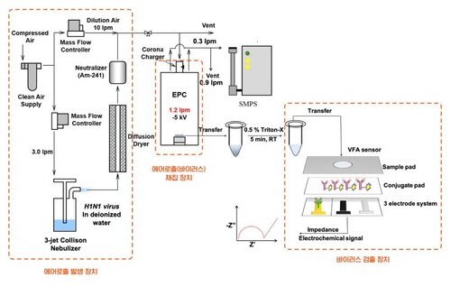 바이러스 농도 측정 모식도.