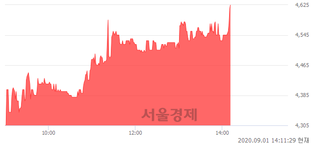 <유>금양, 전일 대비 7.44% 상승.. 일일회전율은 1.17% 기록