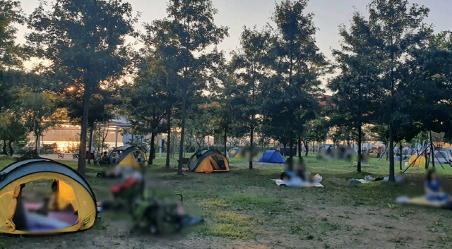 8일 서울 마포구 망원한강공원에서 시민들이 텐트를 쳐놓고 나들이를 즐기고 있다.  /김태영기자