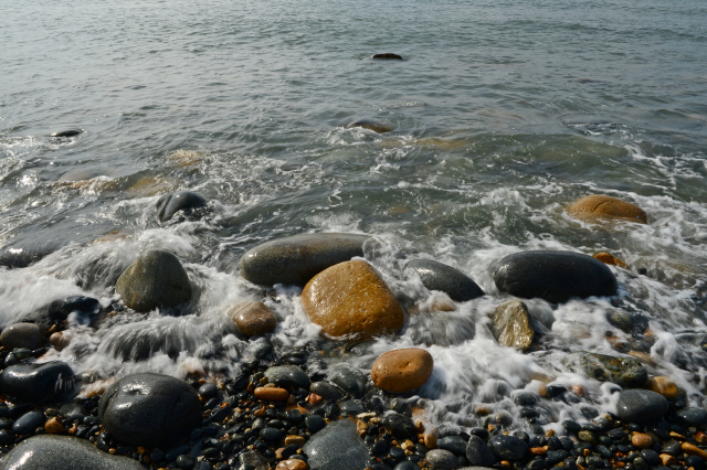 공룡알처럼 생긴 돌이 해변을 메우고 있는 보길도 남단의 공룡알해변.