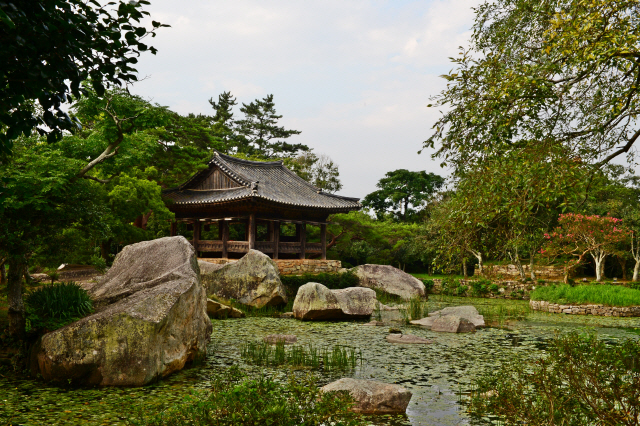 세연정은 지난 1994년 복원된 것으로 정자 앞에 판석보(굴뚝다리)로 물을 가둬 만든 세연지를 마주보며 서 있는데 산과 물과 함께 어우러진 풍광이 압권이다.