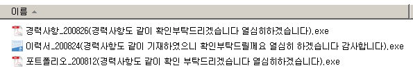 채용 관련 문서로 위장한 악성코드 실행 파일 리스트 예시 /사진제공=안랩