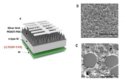태양전지의 구조(a), 물에 의한 유기박막 내부 구조 정렬 전(b)과 후(c). /UNIST