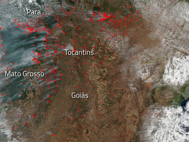 2017년 9월 미국 항공우주국(NASA) 위성이 찍은 아마존 화재 모습. /NASA